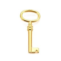 Metalliriipus avain 41x17 mm kullanvärinen 1 kpl