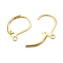 Saranalukko korvakorukoukku 304 teräs kullanvärinen 2 pr